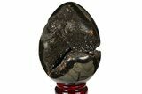 Septarian Dragon Egg Geode - Black Crystals #120906-2